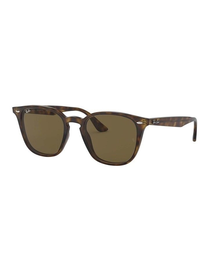 RB4258 Brown Sunglasses