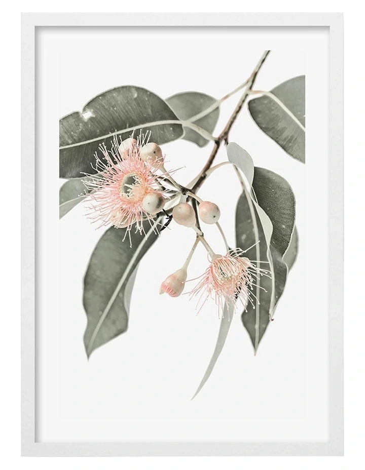 Australian Made Eucalyptus Wildflowers Art Print A2 in White Frame