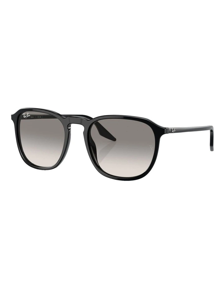 RB2203 Sunglasses in Black