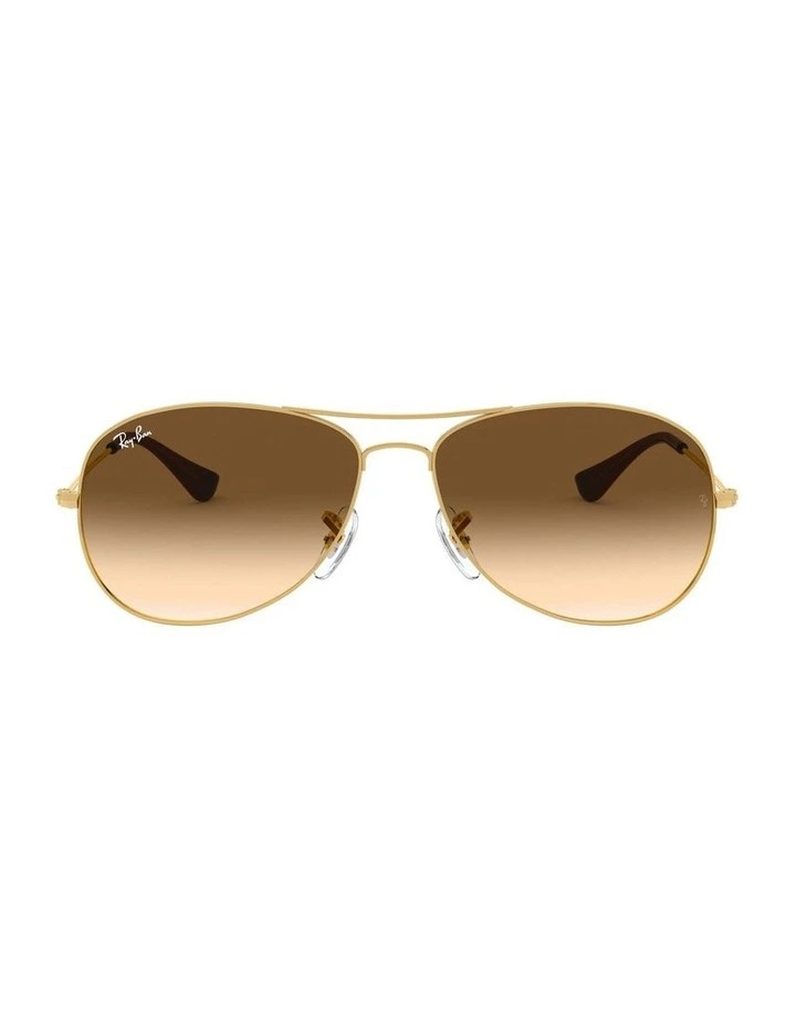 Cockpit Gold RB3362 Sunglasses