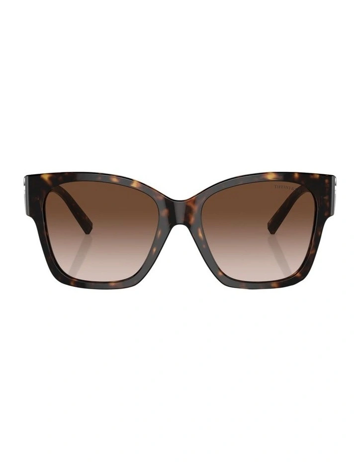 TF4216 Sunglasses in Tortoise