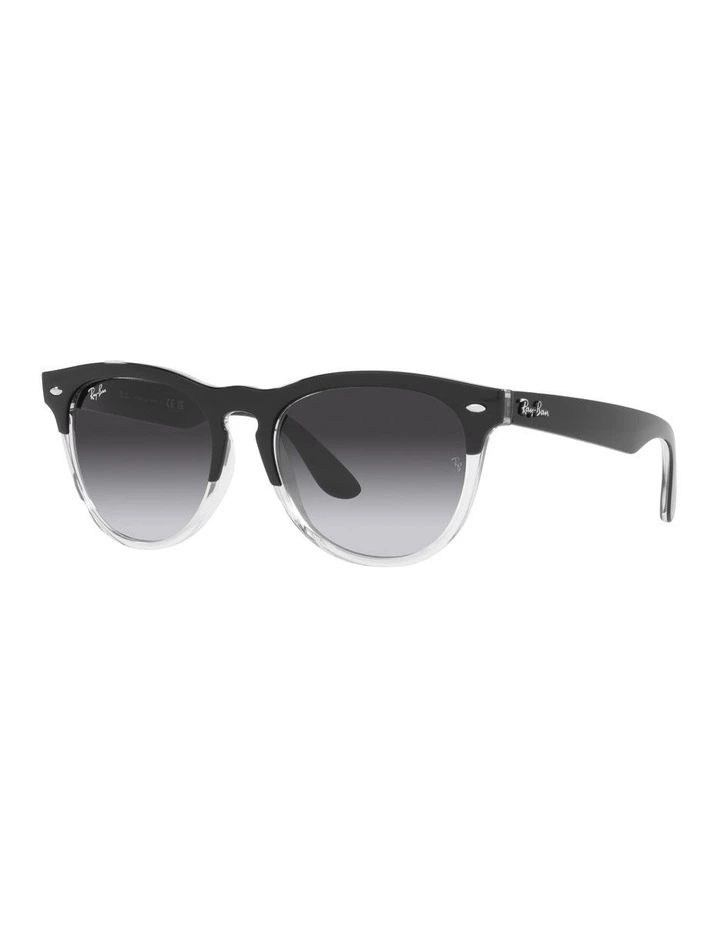 IRIS Sunglasses In Black