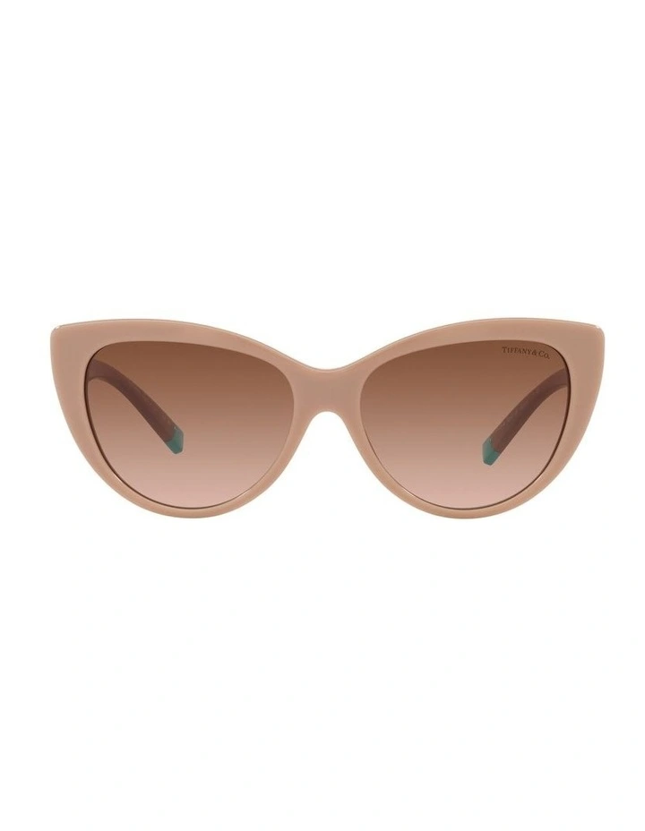 0TF4196 Sunglasses in Solid Nude