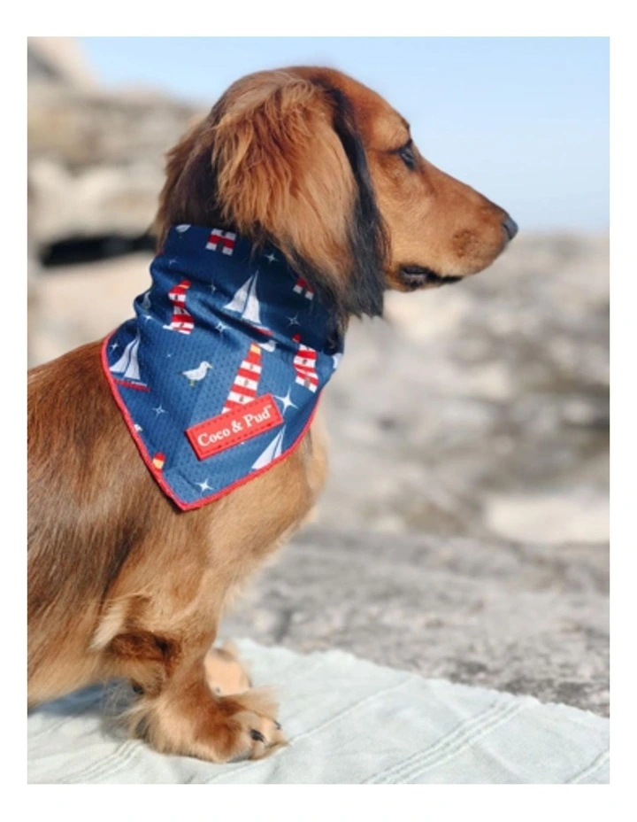 Hamptons Dog Bandana