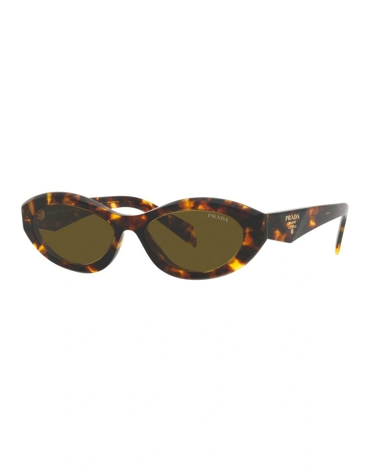 PR 26ZSF Sunglasses in Green