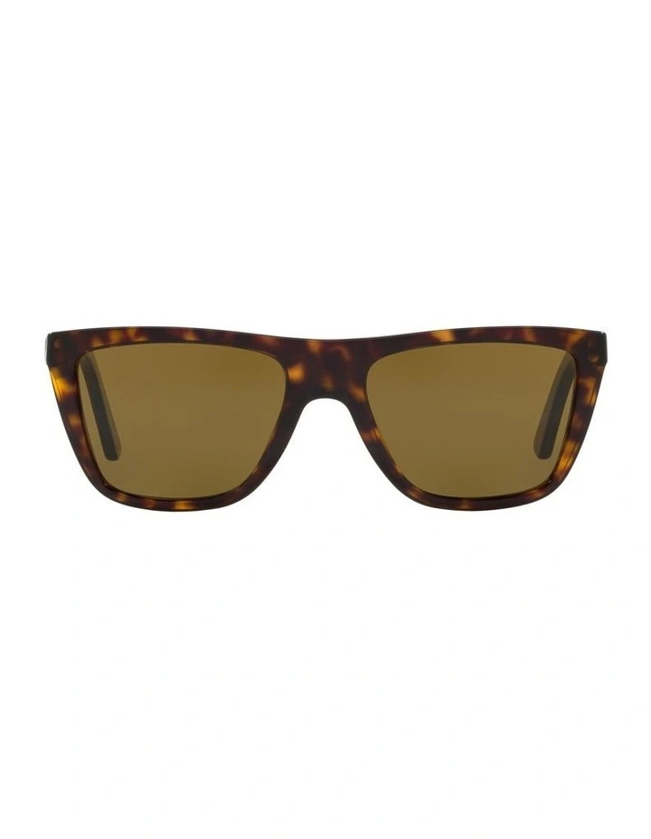 HU2014 Tortoise Sunglasses