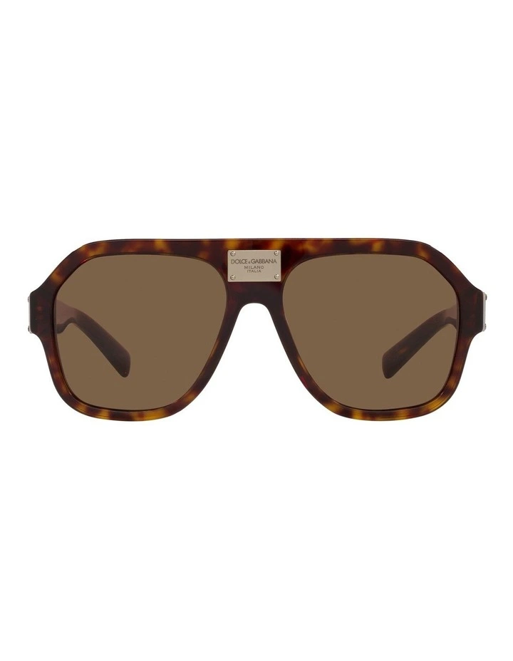 DG4433 Tortoise Sunglasses in Brown