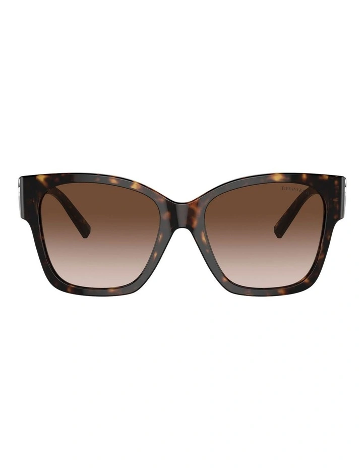 Larry Sunglasses in Grey