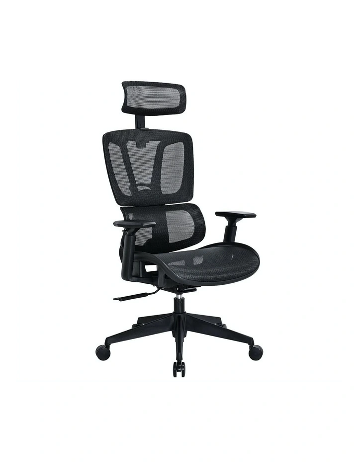 Mecca Ergonomic Double Mesh Back and Seat Manager Chair in Black