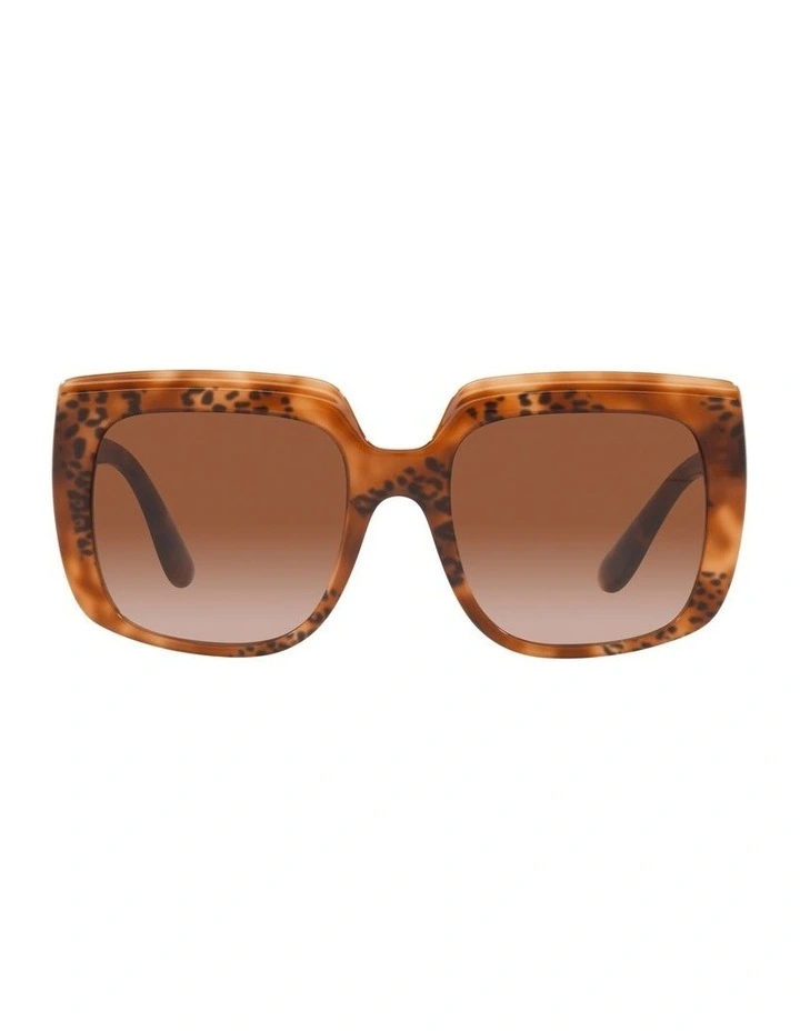 0DG4414 Sunglasses in Havana Leo