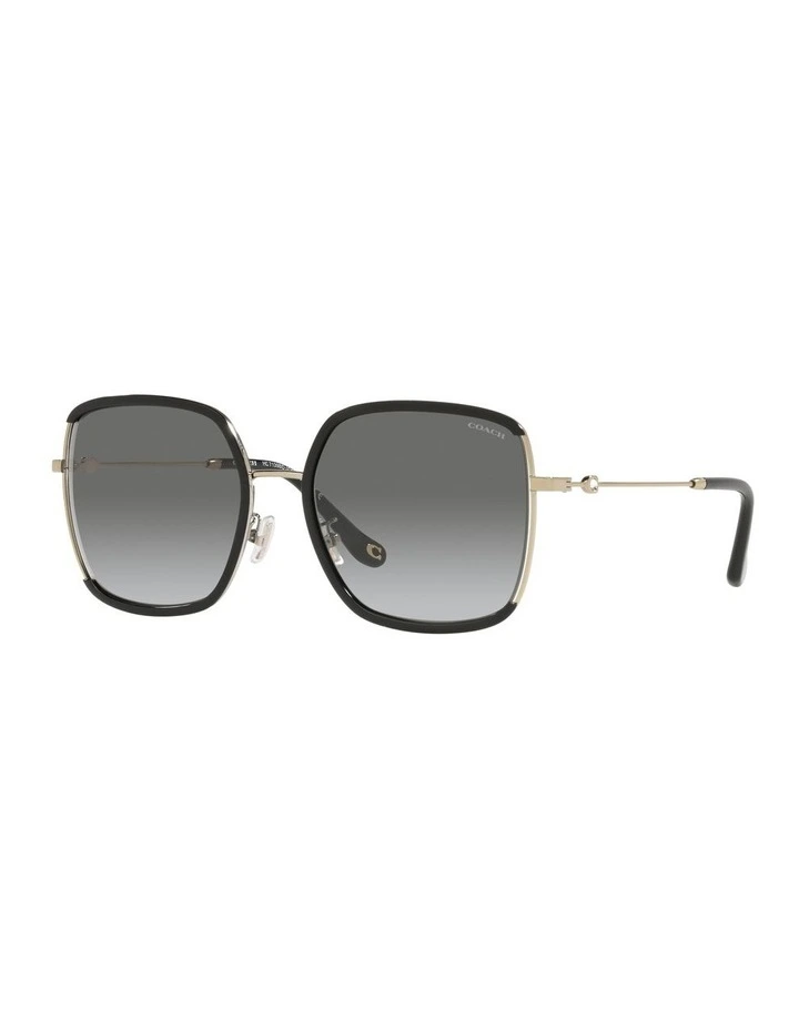 HC7139BD C8000 Black Sunglasses