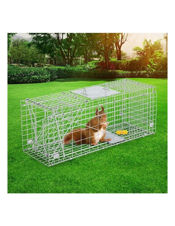 Animal Trap 66x23x25cm in Silver