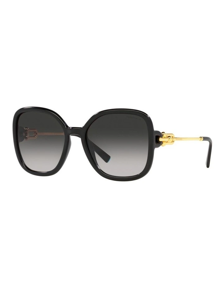 TF4202U Sunglasses in Black