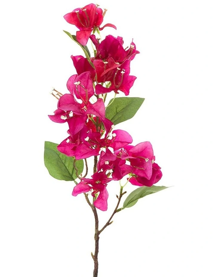 Bougainvillea Spray 75cm in Fuchsia