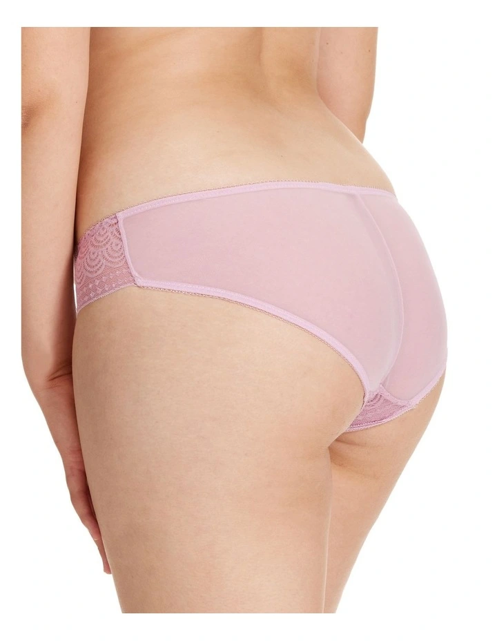 Mystery Brief in Purple