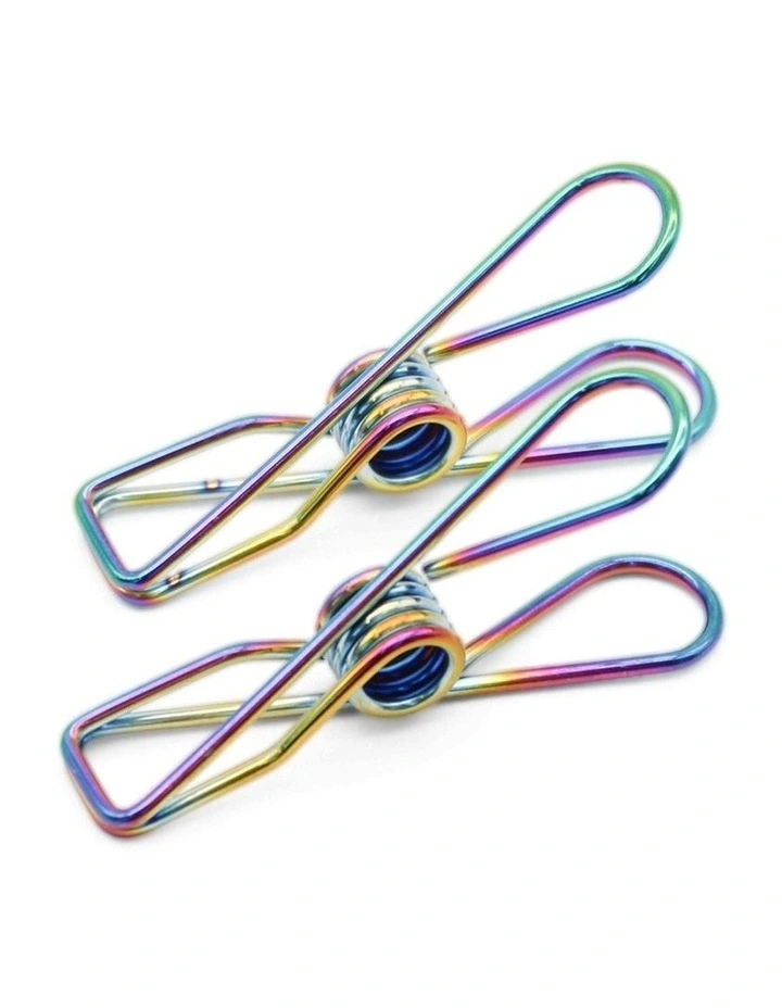 Small Stainless Steel Pegs 40 Pack in Rainbow