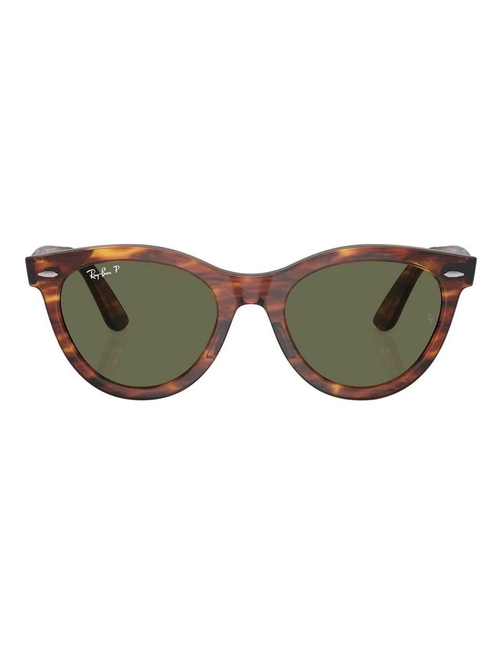 Wayfarer Way Polarised Sunglasses in Brown