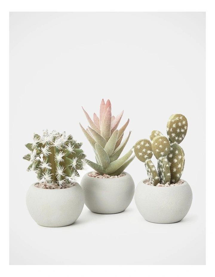 3 Pack of Artificial Mini Succulent Plants 14cm in Multi