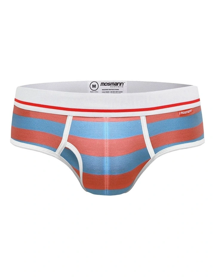 Mens Bamboo Brief in Multi