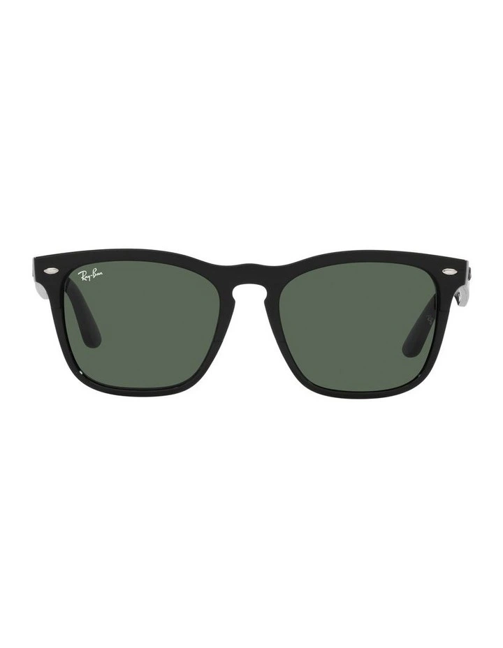IRIS Sunglasses In Black