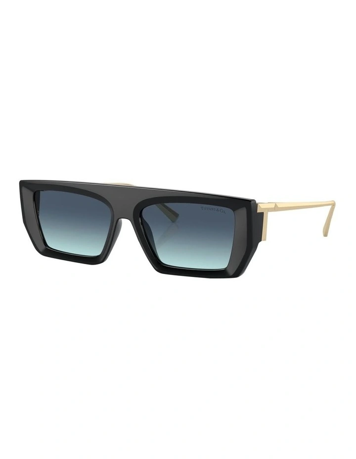 TF4214U Sunglasses in Black