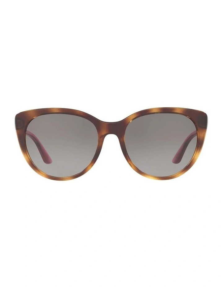 HU2016 Tortoise Sunglasses