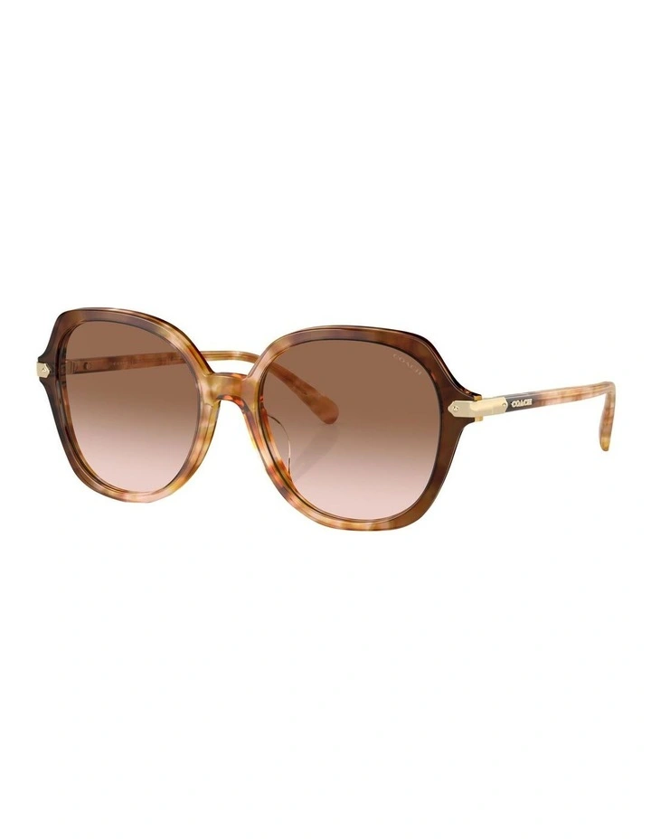 CL925 Sunglasses in Brown