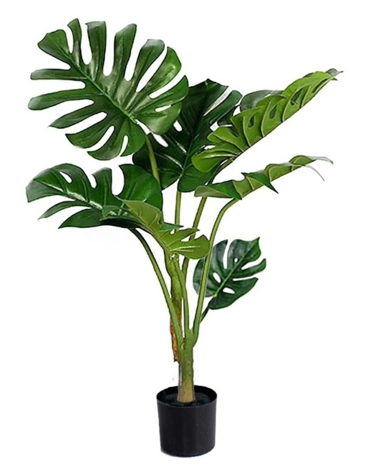 Turtle Back Artificial Plant 120cm in Multi