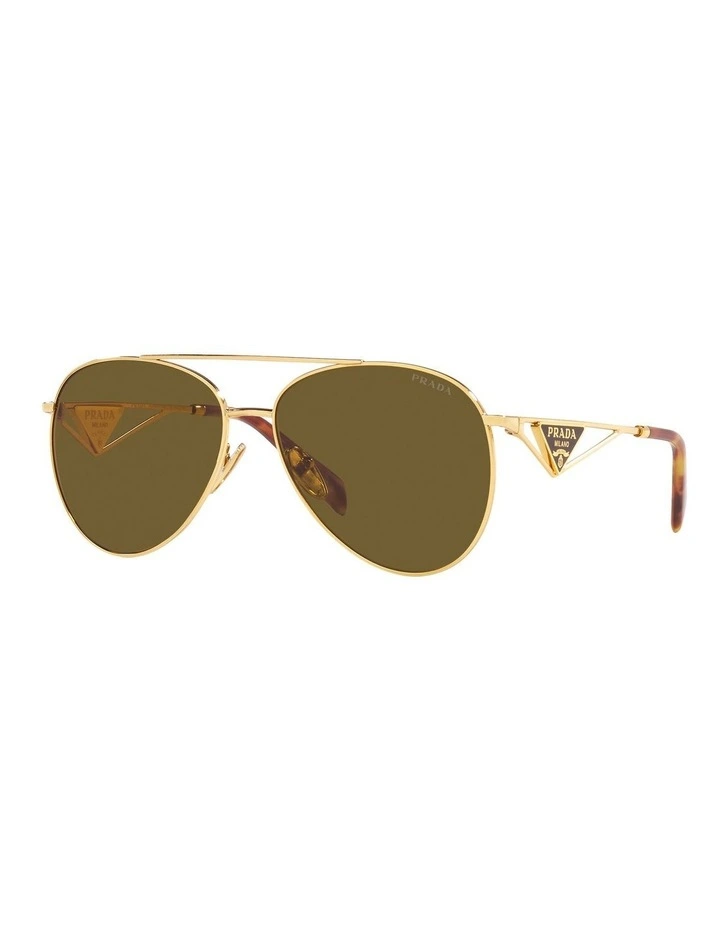 PR 73ZS Sunglasses in Gold