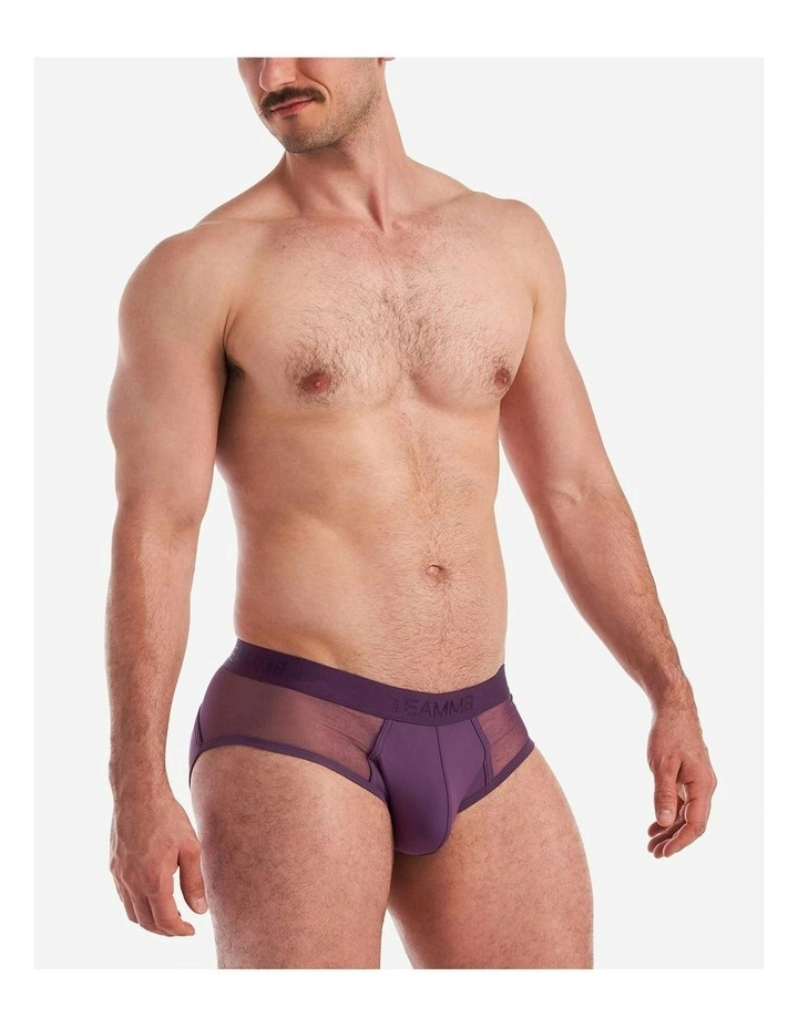Score Sheer Brief in Plum Purple