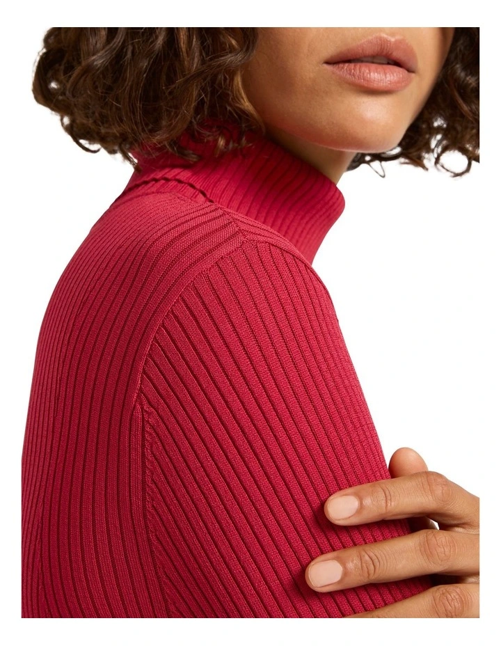 Begin Again Rib Knit Dress in Bad Blood