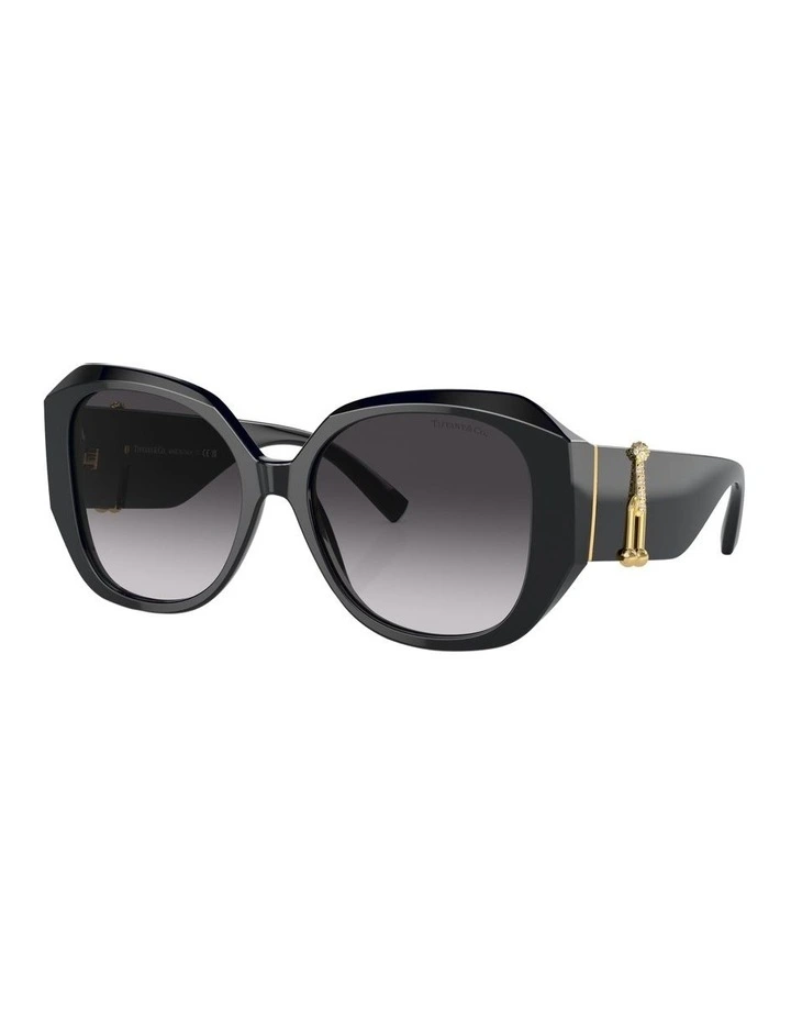 TF4207BF Sunglasses in Black