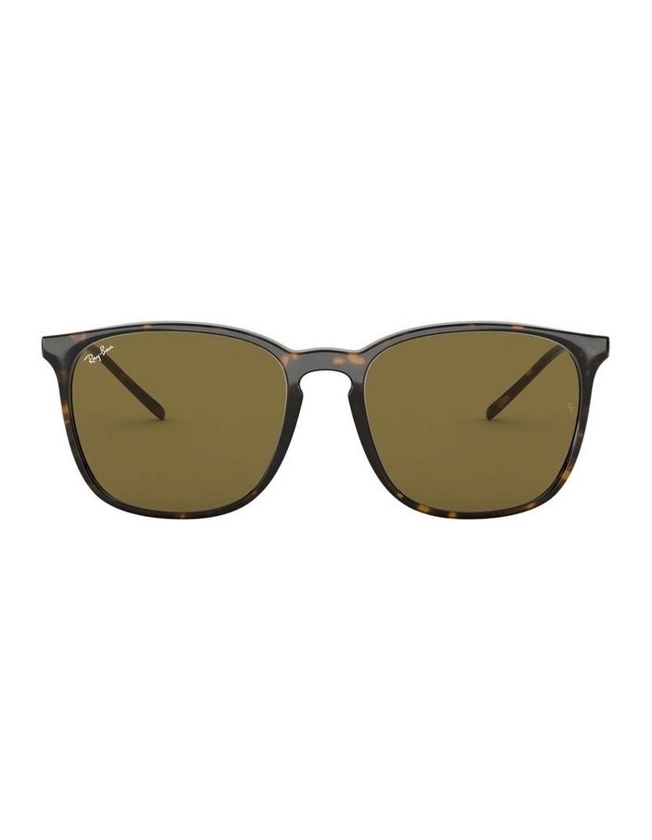 Brown RB4387F Sunglasses