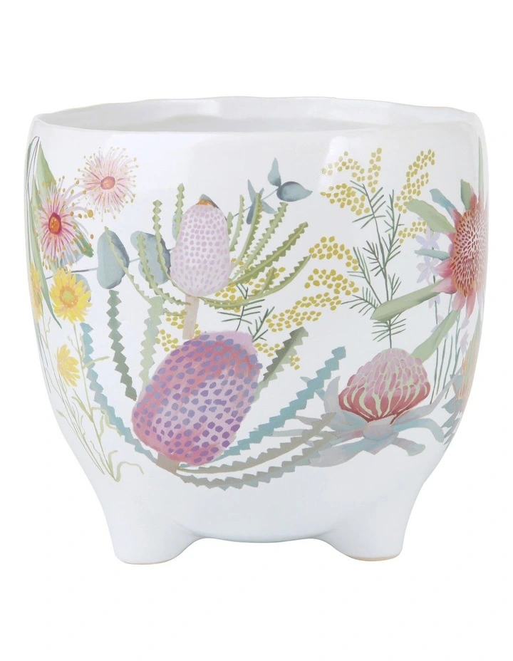 Royal Botanic Gardens Native Blooms Plant Pot 16cm in Multi