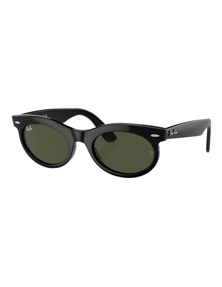 Wayfarer Oval Sunglasses in Black