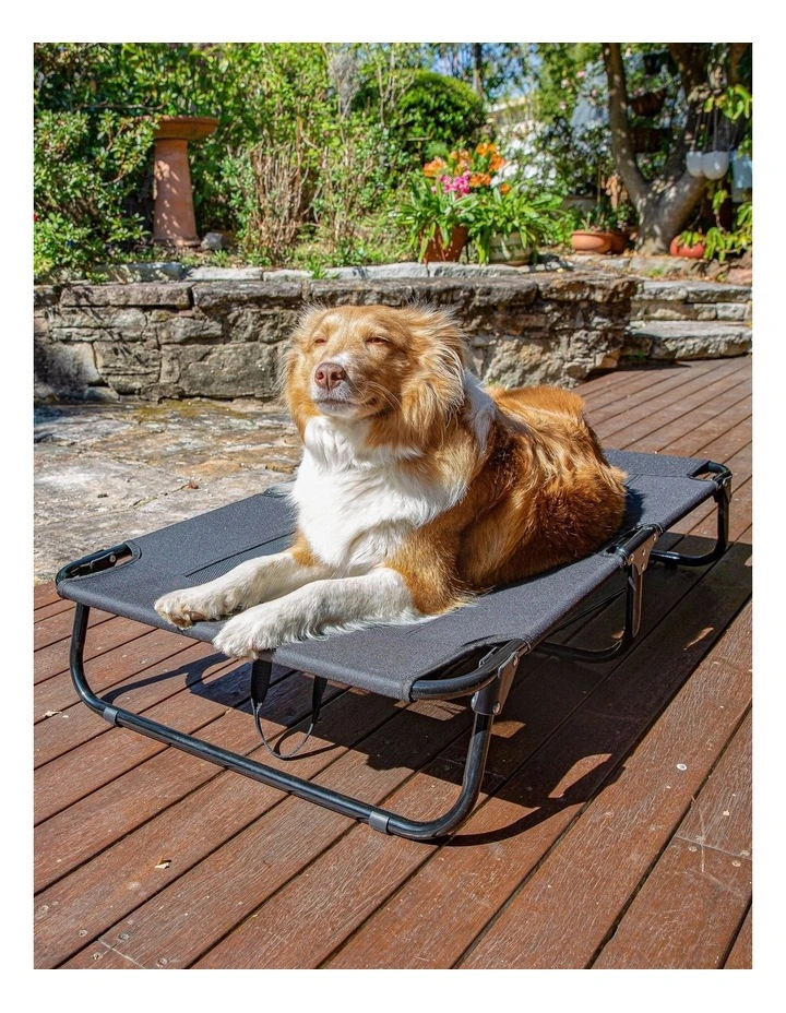 Adventure Foldable Travel Trampoline Dog Bed in Black