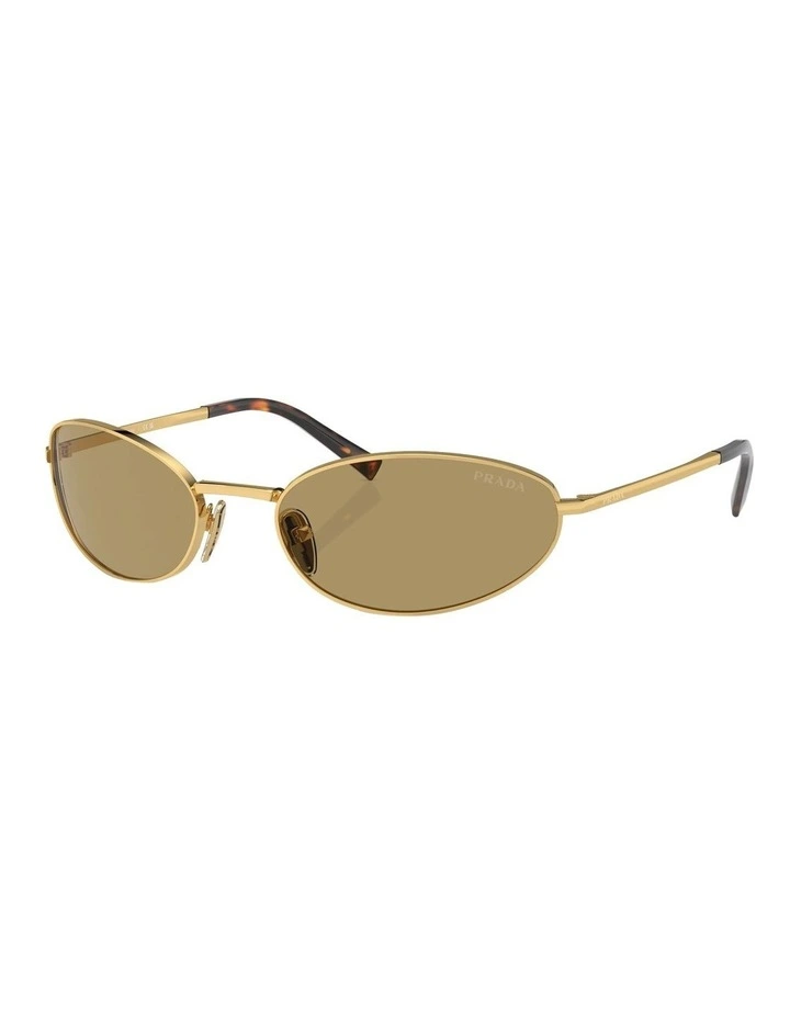 PR A59S Sunglasses in Gold