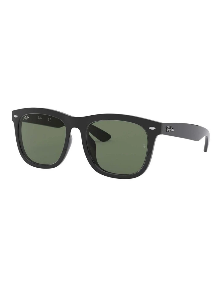 Black RB4260D Sunglasses