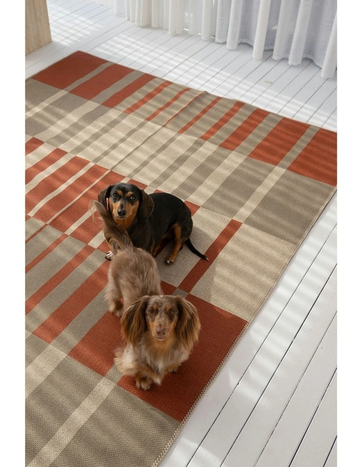 Chat Washable New Jute Area Rug in Red