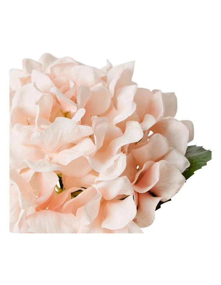 Hydrangea-Alma Vase 20cm in Pink