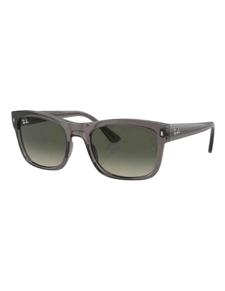RB4428 Sunglasses in Grey