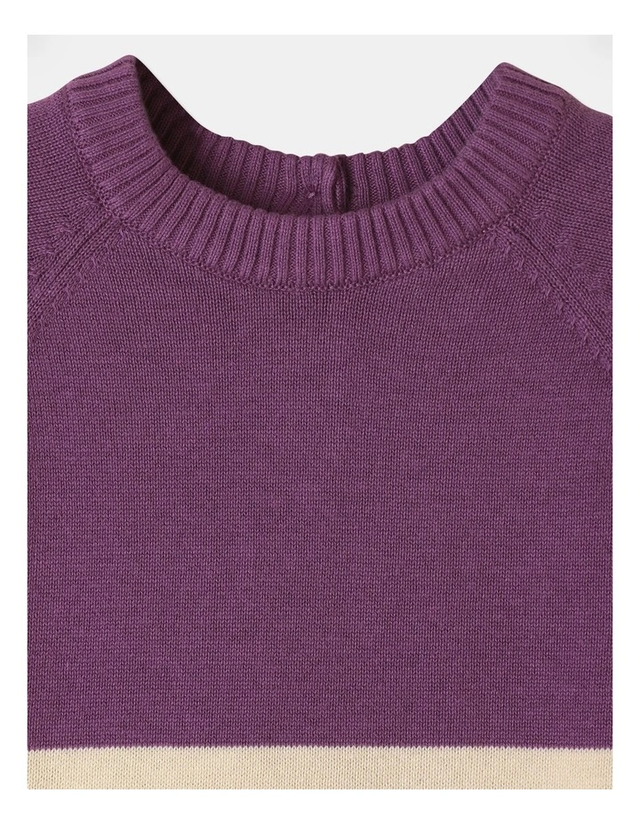 Knit Raglan Colour Block Jumper in Deep Purple