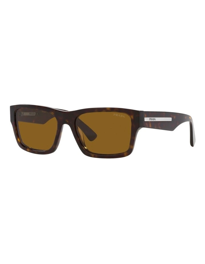 PR 25ZS Tortoise Sunglasses in Brown