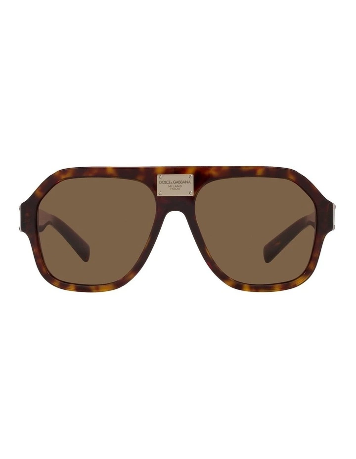 DG4433F Tortoise Sunglasses in Brown