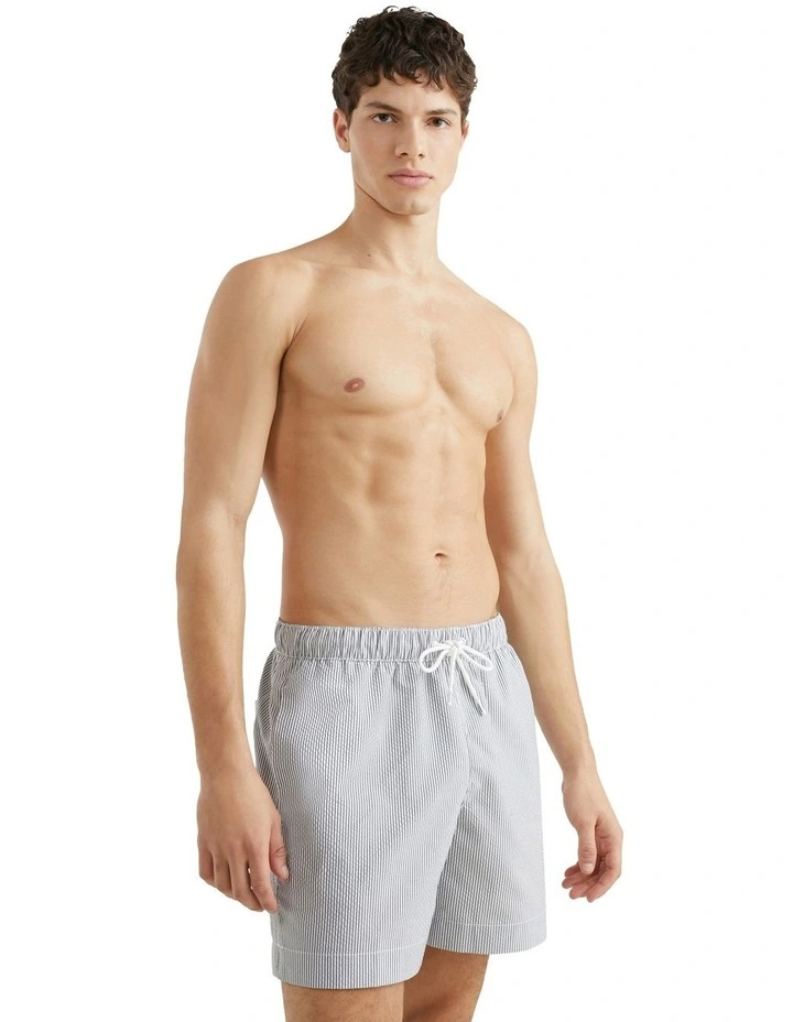 Ithaca Stripe Mid Length Swim Shorts in Blue