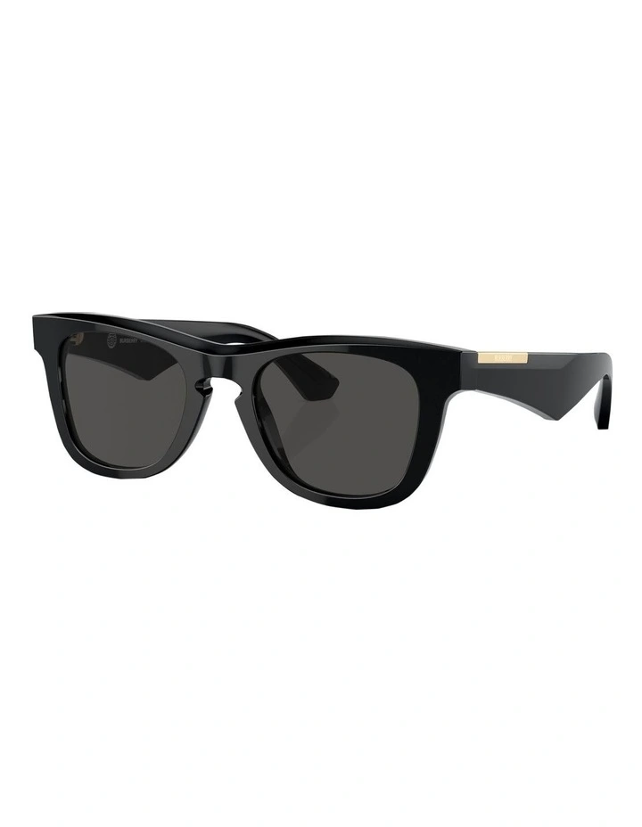 BE4426 Sunglasses in Black