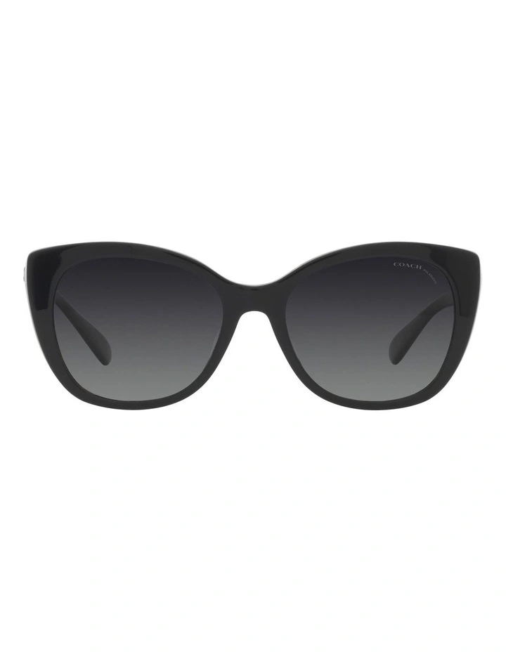 CH566 Polarised Sunglasses in Black