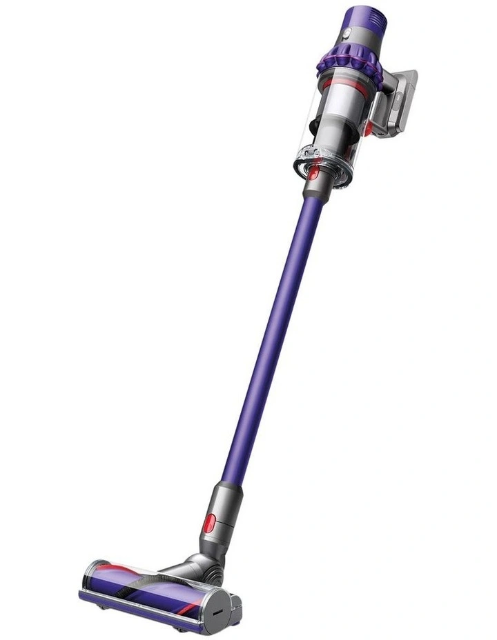 V10 Vacuum in Purple/Iron 394101-01