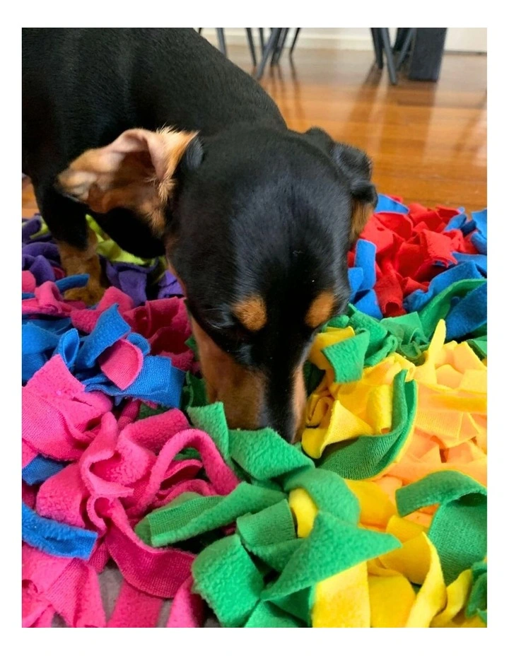 4-Quadrant Snoofy Snuffle Mat 47x47cm in Multicolor