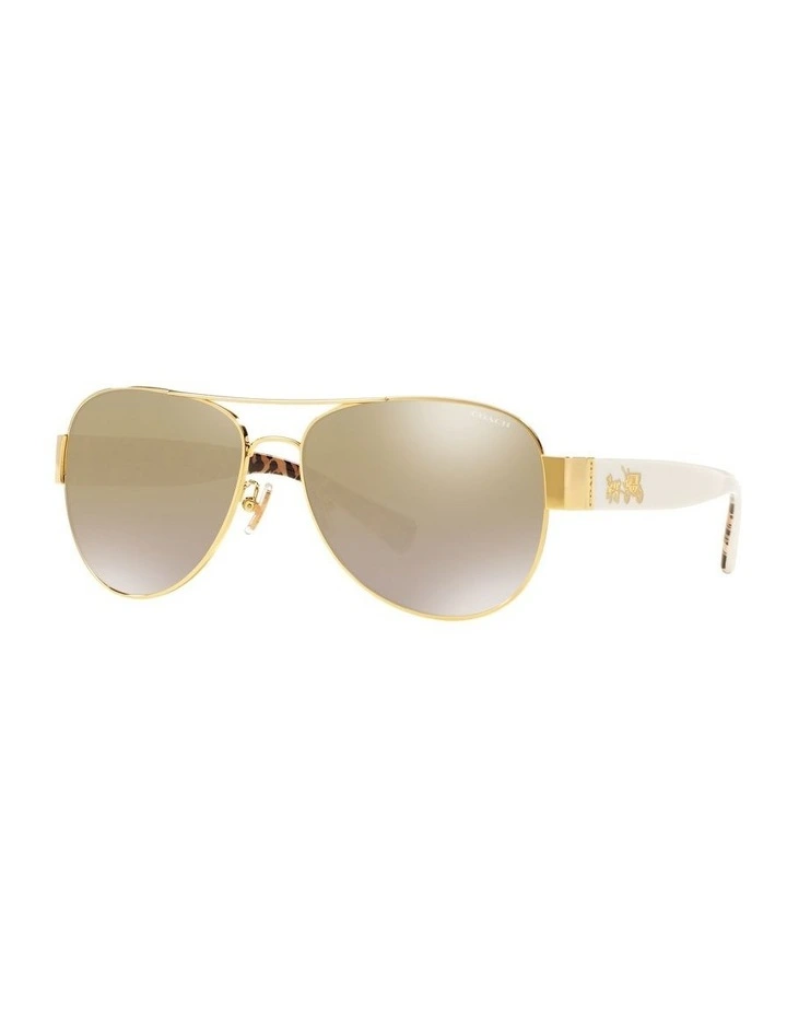 HC7059 L138 Gold Sunglasses